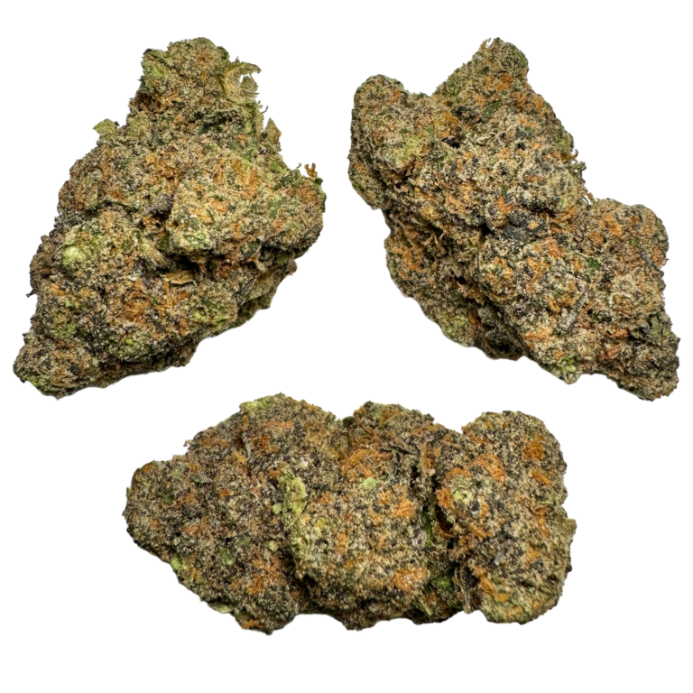 biscotti x gelato strain